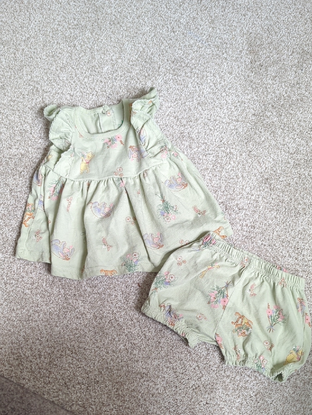 Disney Winnie The Pooh Pastel Green Floral & Character Ruffle Top with Bloomers